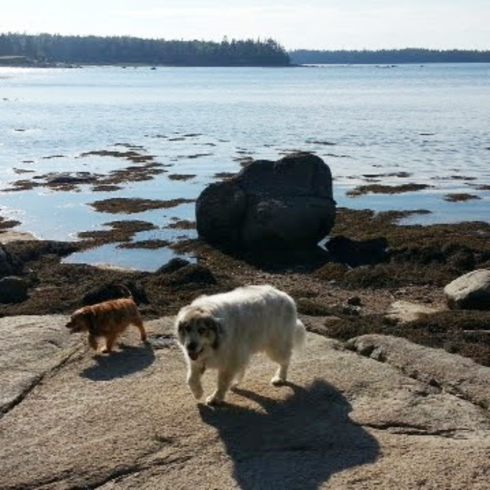 Meet your Posher, Jaquelyn